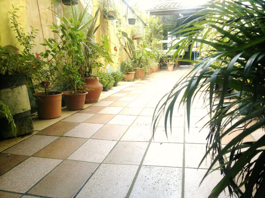 Pousada Flor Amarela Balneario Camboriu Bagian luar foto